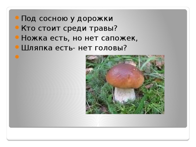 Под сосною у дорожки Кто стоит среди травы? Ножка есть, но нет сапожек, Шляпка есть- нет головы? 