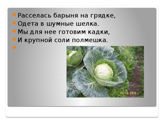 Расселась барыня на грядке, Одета в шумные шелка. Мы для нее готовим кадки, И крупной соли полмешка. 
