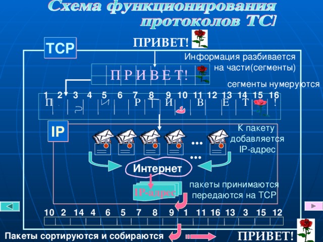 ПРИВЕТ! TCP Информация разбивается  на части(сегменты) П Р И В Е Т!  сегменты нумеруются 16 5 12 13 11 10 9 15 8 7 6 14 4 2 1 3  П . Р И В Е Т !  К пакету  добавляется  IP- адрес IP ... ...  Интернет пакеты принимаются  передаются на TCP I P -адрес 13 10 2 14 4 6 16 7 8 9 1 11 12 15 3 5 ПРИВЕТ! Пакеты сортируются и собираются 