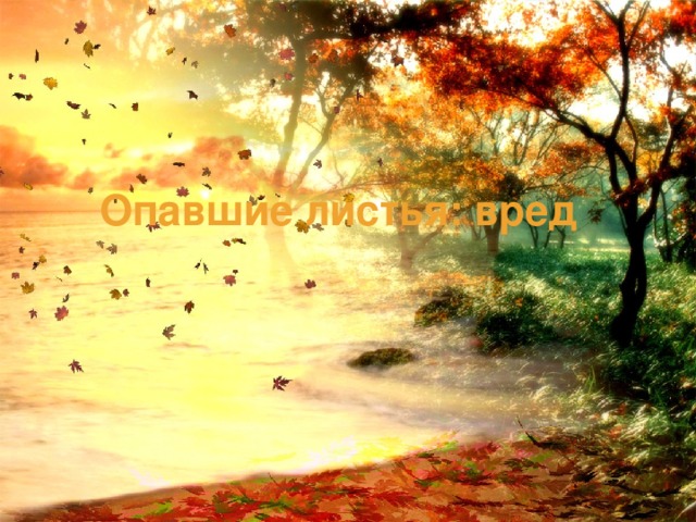 Опавшие листья: вред 