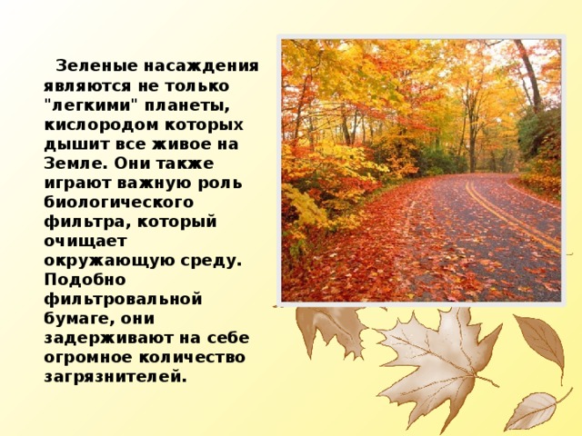  Зеленые насаждения являются не только 