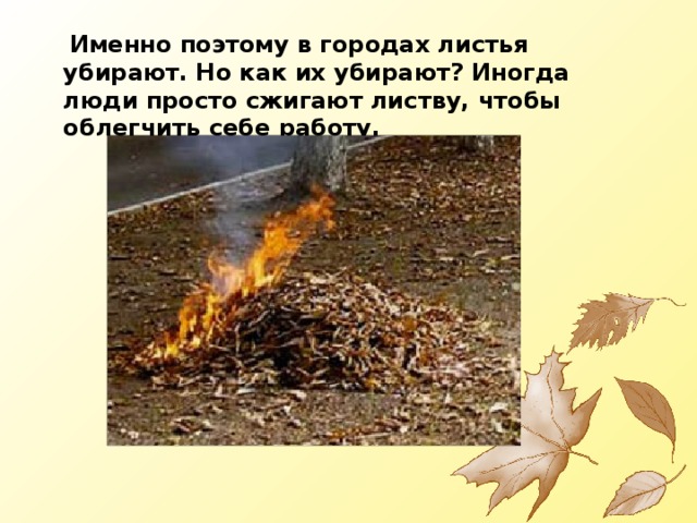  Именно поэтому в городах листья убирают. Но как их убирают? Иногда люди просто сжигают листву, чтобы облегчить себе работу. 