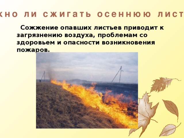 Нужно ли сжигать осеннюю листву?  Сожжение опавших листьев приводит к загрязнению воздуха, проблемам со здоровьем и опасности возникновения пожаров. 