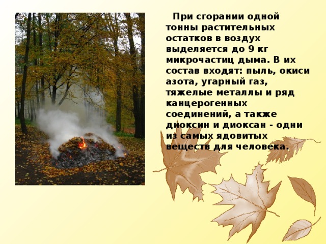  При сгорании одной тонны растительных остатков в воздух выделяется до 9 кг микрочастиц дыма. В их состав входят: пыль, окиси азота, угарный газ, тяжелые металлы и ряд канцерогенных соединений, а также диоксин и диоксан - одни из самых ядовитых веществ для человека. 