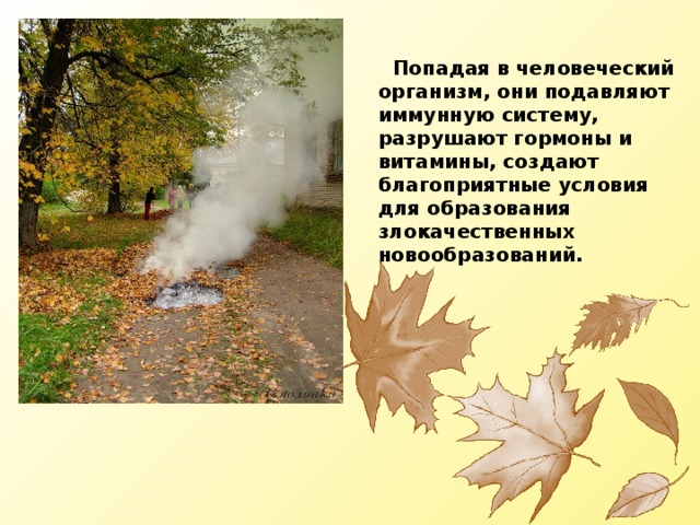  Попадая в человеческий организм, они подавляют иммунную систему, разрушают гормоны и витамины, создают благоприятные условия для образования злокачественных новообразований. 