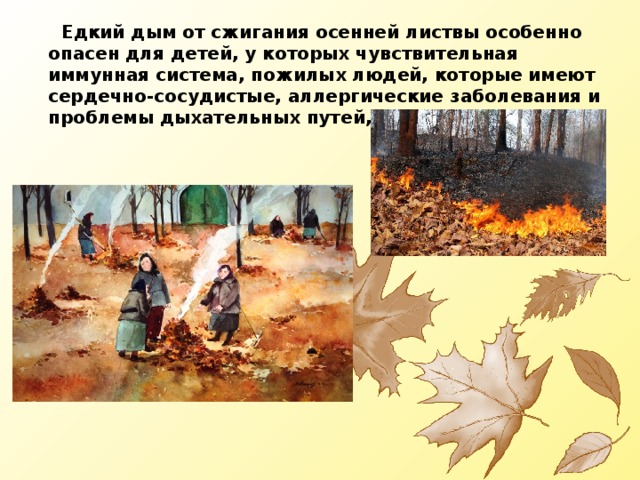  Едкий дым от сжигания осенней листвы особенно опасен для детей, у которых чувствительная иммунная система, пожилых людей, которые имеют сердечно-сосудистые, аллергические заболевания и проблемы дыхательных путей, особенно астматиков. 