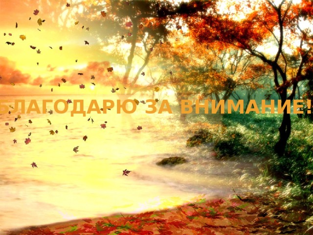 БЛАГОДАРЮ ЗА ВНИМАНИЕ! 
