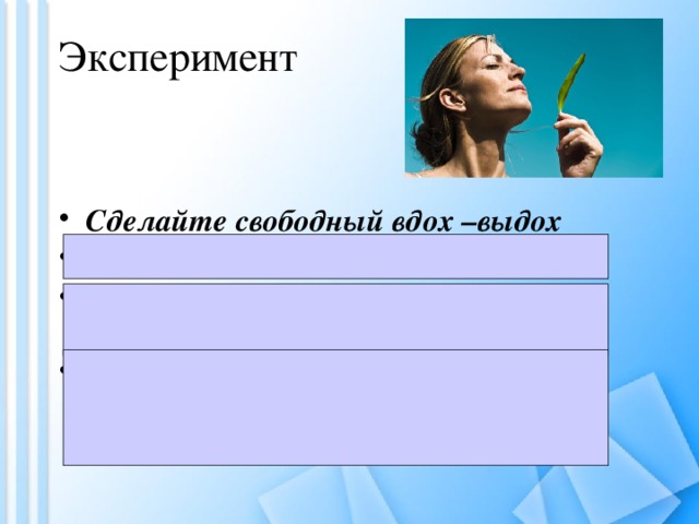 Эксперимент Сделайте свободный вдох –выдох Сделайте г лубокий вдох-выдох Какие изменения происходят с вашим организмом? Сделайте глубокий вдох при одновременном сокращении мышц брюшного пресса  