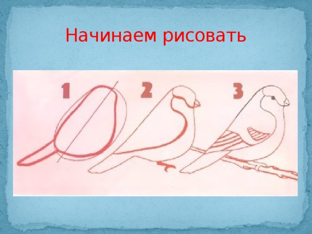 Начинаем рисовать 