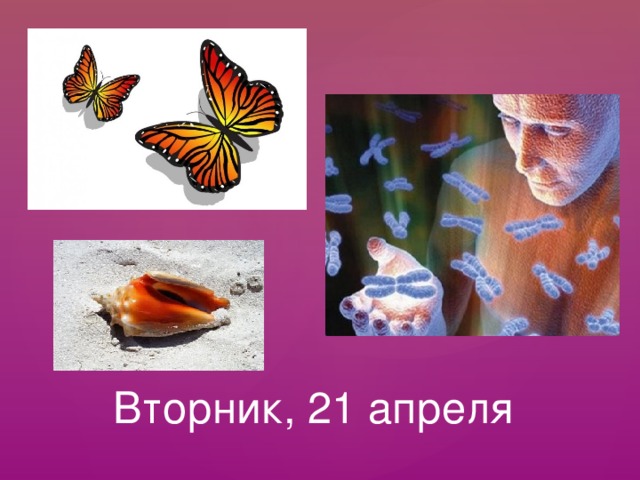  Вторник, 21 апреля 