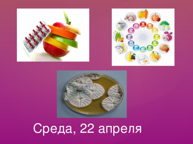     Среда, 22 апреля  