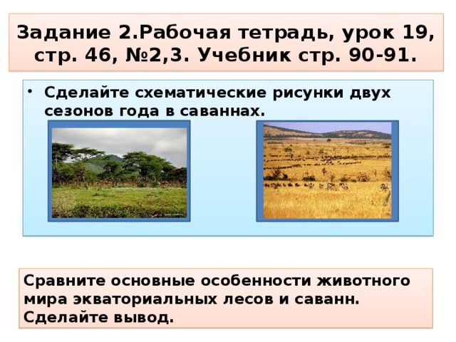 Задание 2.Рабочая тетрадь, урок 19, стр. 46, №2,3. Учебник стр. 90-91. Сделайте схематические рисунки двух сезонов года в саваннах.  Сравните основные особенности животного мира экваториальных лесов и саванн. Сделайте вывод.