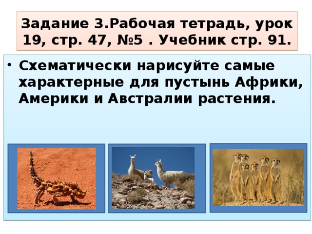 Задание 3.Рабочая тетрадь, урок 19, стр. 47, №5 . Учебник стр. 91.