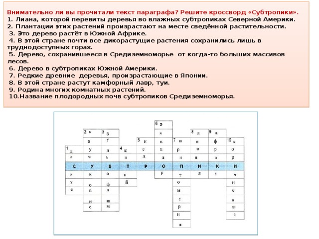 Внимательно ли вы прочитали текст параграфа? Решите кроссворд «Субтропики».  1. Лиана, которой перевиты деревья во влажных субтропиках Северной Америки.  2. Плантации этих растений произрастают на месте сведённой растительности.  3. Это дерево растёт в Южной Африке.  4. В этой стране почти все дикорастущие растения сохранились лишь в труднодоступных горах.  5. Дерево, сохранившееся в Средиземноморье от когда-то больших массивов лесов.  6. Дерево в субтропиках Южной Америки.  7. Редкие древние деревья, произрастающие в Японии.  8. В этой стране растут камфорный лавр, туи.  9. Родина многих комнатных растений.  10.Название плодородных почв субтропиков Средиземноморья.