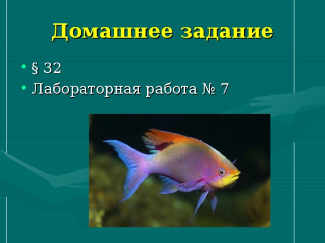 Домашнее задание § 32 Лабораторная работа № 7     