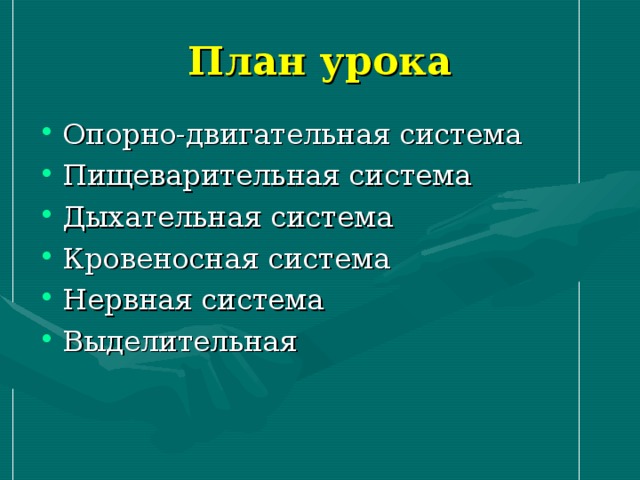 План урока Опорно-двигательная система Пищеварительная система Дыхательная система Кровеносная система Нервная система Выделительная 