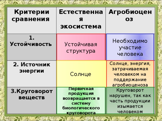 Критерии сравнения Естественная экосистема 1. Устойчивость Агробиоценоз 2. Источник энергии 3.Круговорот веществ Устойчивая структура Необходимо участие человека Солнце Солнце, энергия, затрачиваемая человеком на поддержание агробиоценоза Первичная продукция возвращается в систему биологического круговорота Круговорот нарушен, так как часть продукции изымается человеком 