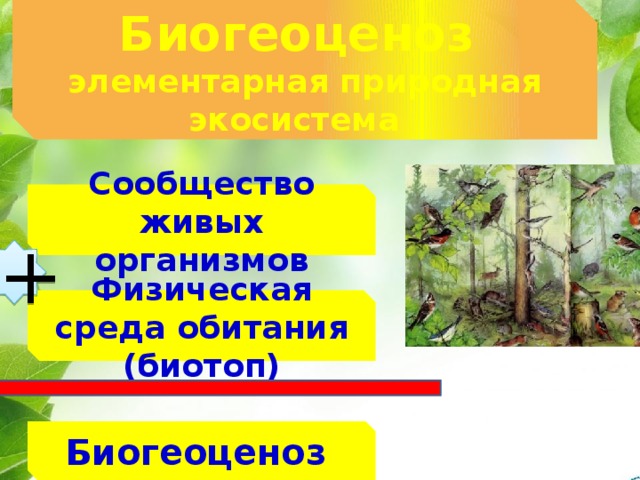 Биогеоценоз элементарная природная экосистема Сообщество живых организмов + Физическая среда обитания (биотоп) Биогеоценоз 