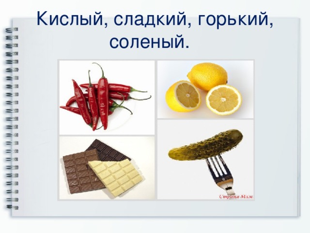 Кислый, сладкий, горький, соленый. 