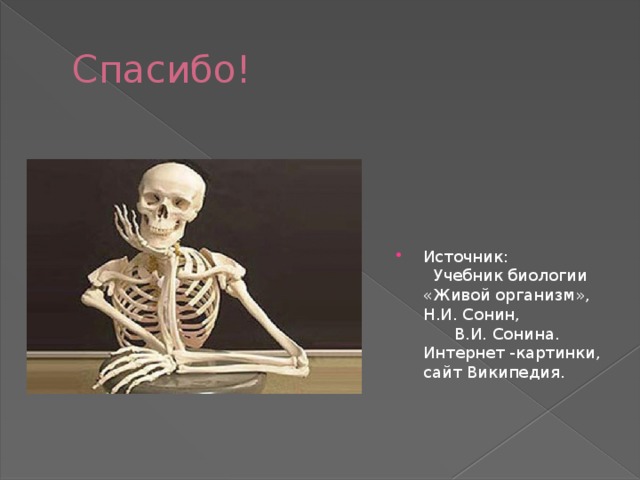 Спасибо! Источник: Учебник биологии «Живой организм», Н.И. Сонин, В.И. Сонина. Интернет -картинки, сайт Википедия. 