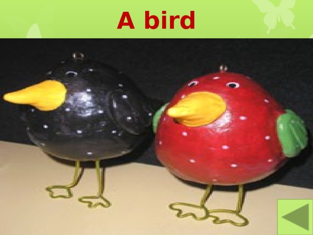 A bird 