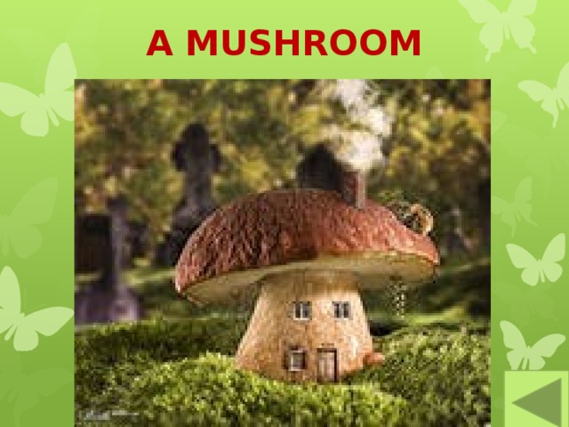 A MUSHROOM 