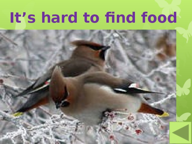 It’s hard to find food 