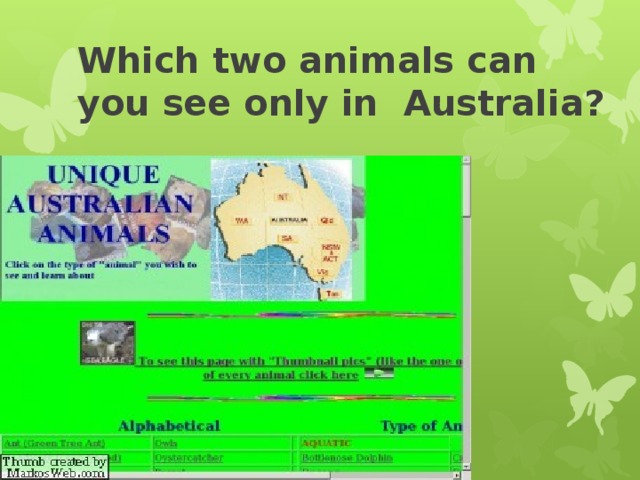 Which two animals can you see only in Australia? 