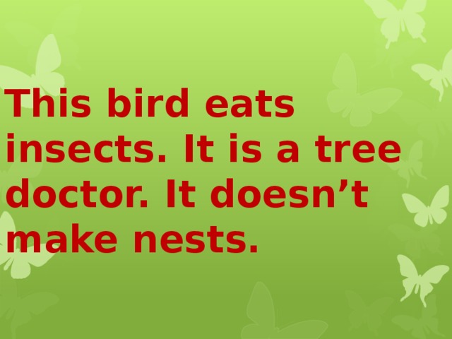 This bird eats insects. It is a tree doctor. It doesn’t make nests. 