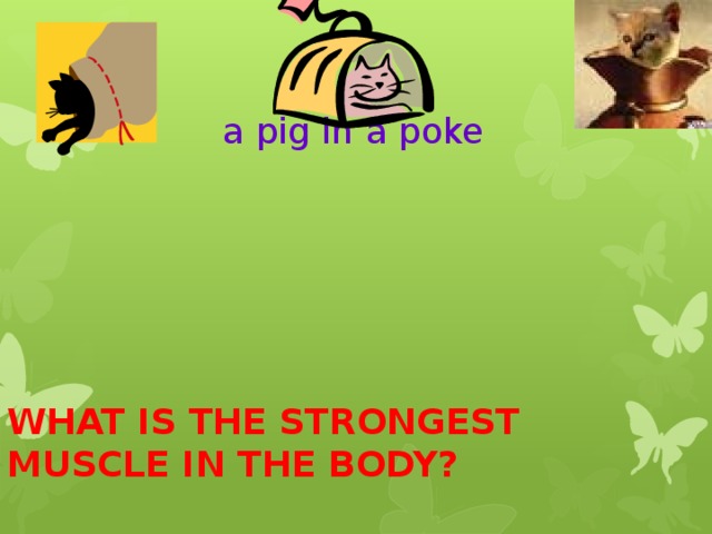 a pig in a poke WHAT IS THE STRONGEST MUSCLE IN THE BODY? 