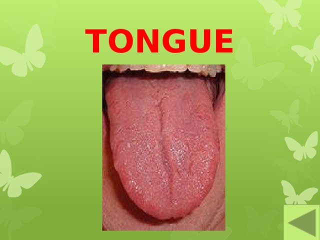 TONGUE 