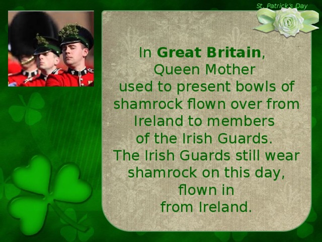 St. Patrick’s Day In Great Britain , Queen Mother used to present bowls of shamrock flown over from Ireland to members of the Irish Guards. The Irish Guards still wear shamrock on this day,  flown in from Ireland.