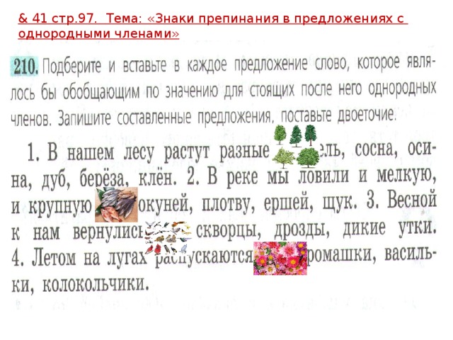 & 41 стр.97. Тема: «Знаки препинания в предложениях с однородными членами» 