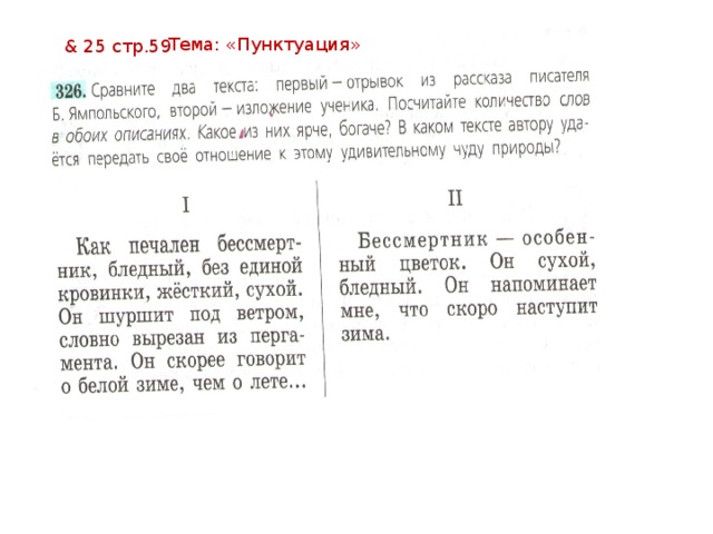 Тема: «Пунктуация» & 25 стр.59 
