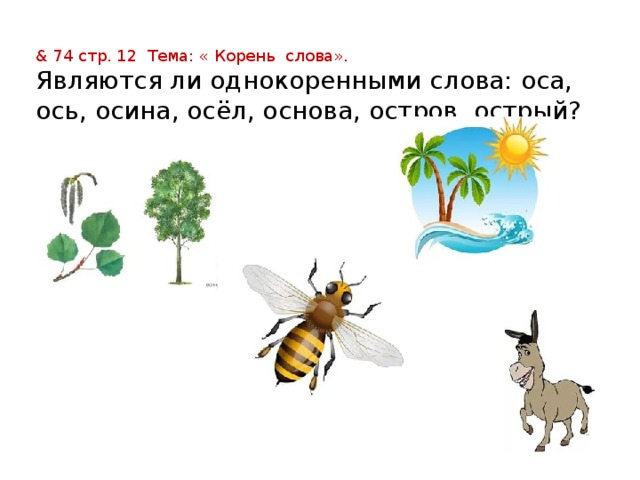 & 74 стр. 12 Тема: « Корень слова». Являются ли однокоренными слова: оса, ось, осина, осёл, основа, остров, острый? 