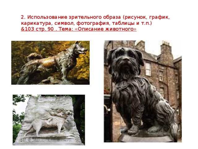 2. Использование зрительного образа (рисунок, график, карикатура, символ, фотография, таблицы и т.п.) &103 стр. 90 . Тема: «Описание животного» 