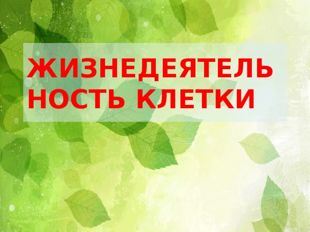 ЖИЗНЕДЕЯТЕЛЬНОСТЬ КЛЕТКИ 