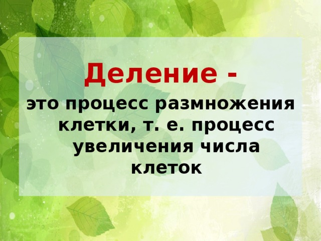 Деление - это процесс размножения клетки, т. е. процесс увеличения числа клеток 