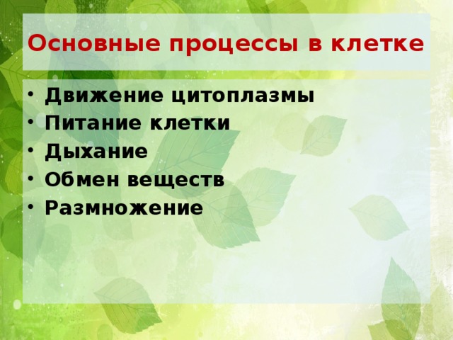 Основные процессы в клетке Движение цитоплазмы Питание клетки Дыхание Обмен веществ Размножение 