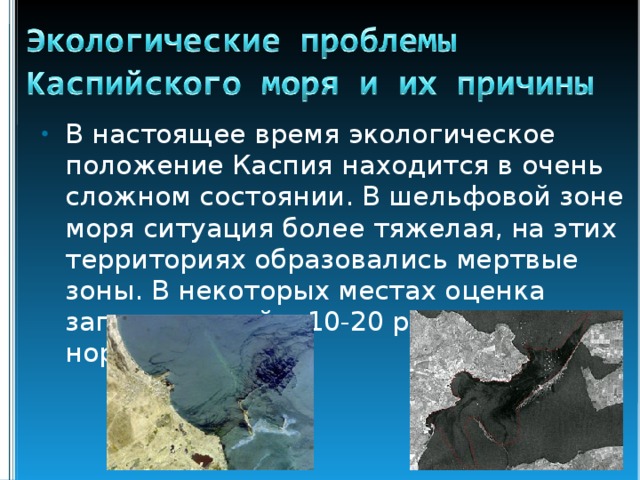 В настоящее время экологическое положение Каспия находится в очень сложном состоянии. В шельфовой зоне моря ситуация более тяжелая, на этих территориях образовались мертвые зоны. В некоторых местах оценка загрязнителей в 10-20 раз превышает норму. 