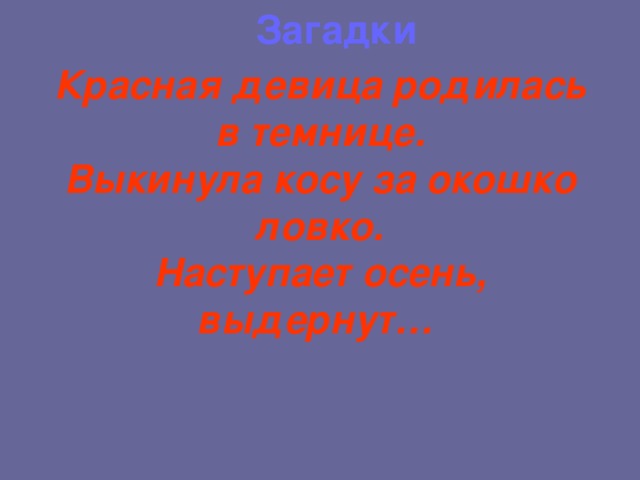 Загадки Красная девица родилась в темнице.  Выкинула косу за окошко ловко.  Наступает осень, выдернут…  
