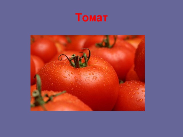 Томат 