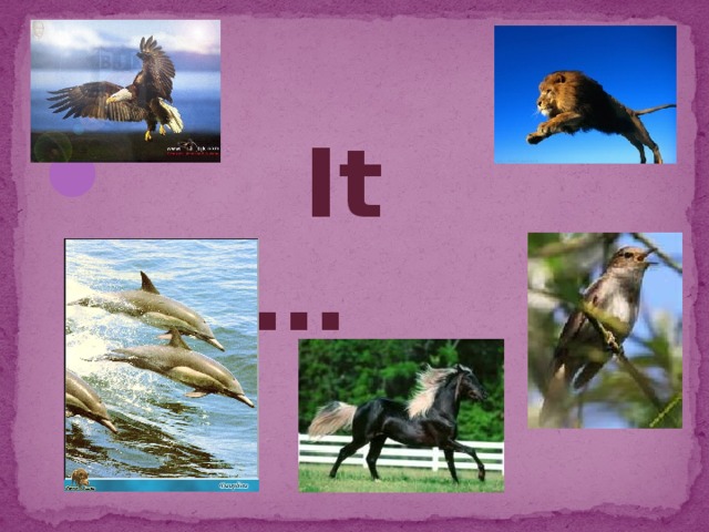  It can… 