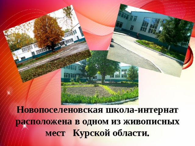   Новопоселеновская школа-интернат расположена в одном из живописных мест Курской области. 