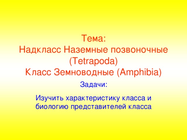 Тема:  Надкласс Наземные позвоночные (Tetrapoda)  Класс Земноводные (Amphibia) Задачи: Изучить характеристику класса и биологию представителей класса  