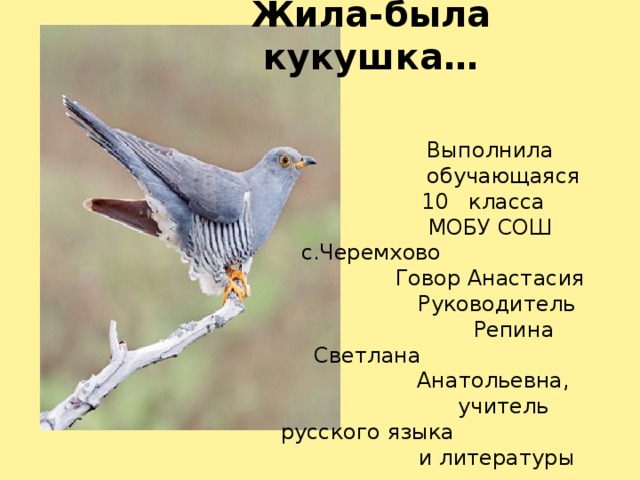Жила-была кукушка…      Выполнила  обучающаяся  10 класса  МОБУ СОШ с.Черемхово  Говор Анастасия  Руководитель  Репина Светлана  Анатольевна,  учитель русского языка  и литературы