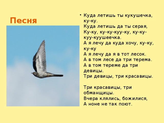 Песня