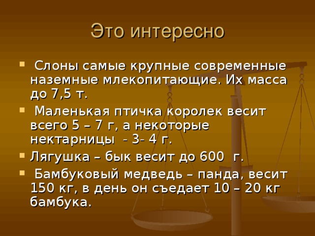  Слоны самые крупные современные наземные млекопитающие. Их масса до 7,5 т.  Маленькая птичка королек весит всего 5 – 7 г, а некоторые нектарницы - 3- 4 г. Лягушка – бык весит до 600 г.  Бамбуковый медведь – панда, весит 150 кг, в день он съедает 10 – 20 кг бамбука. 