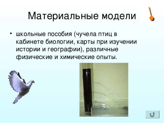 школьные пособия (чучела птиц в кабинете биологии, карты при изучении истории и географии), различные физические и химические опыты. 
