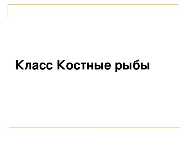  Класс Костные рыбы  